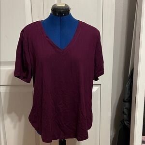 Terra & Sky Deep Purple V-Neck Short Sleeve Top